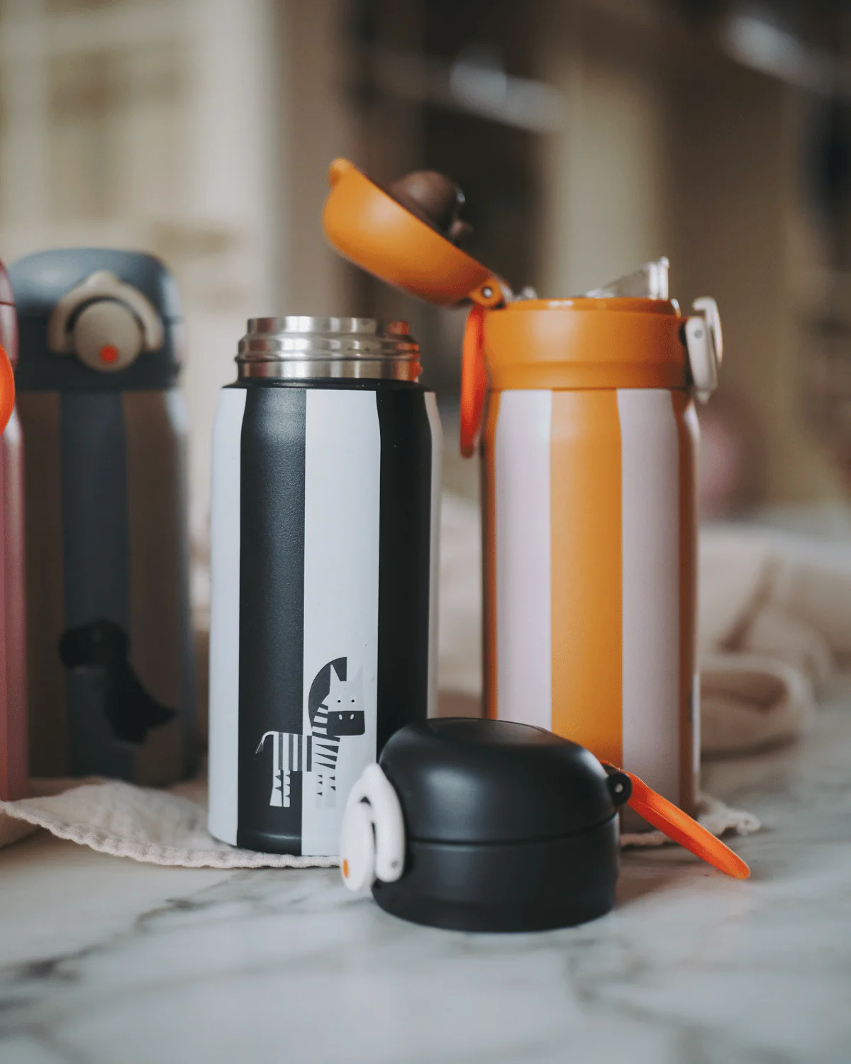noui-noui-water-bottle-zebra-lion_48affba2-0e79-4ae6-bf23-ed175510b6a6.png